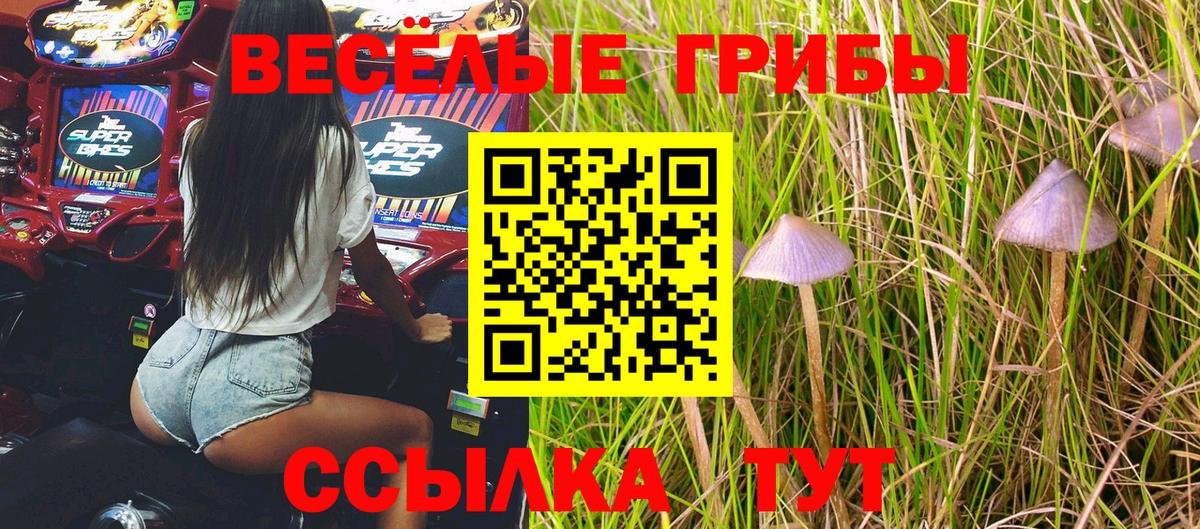 Псилоцибиновые грибы Psilocybine cubensis Белореченск
