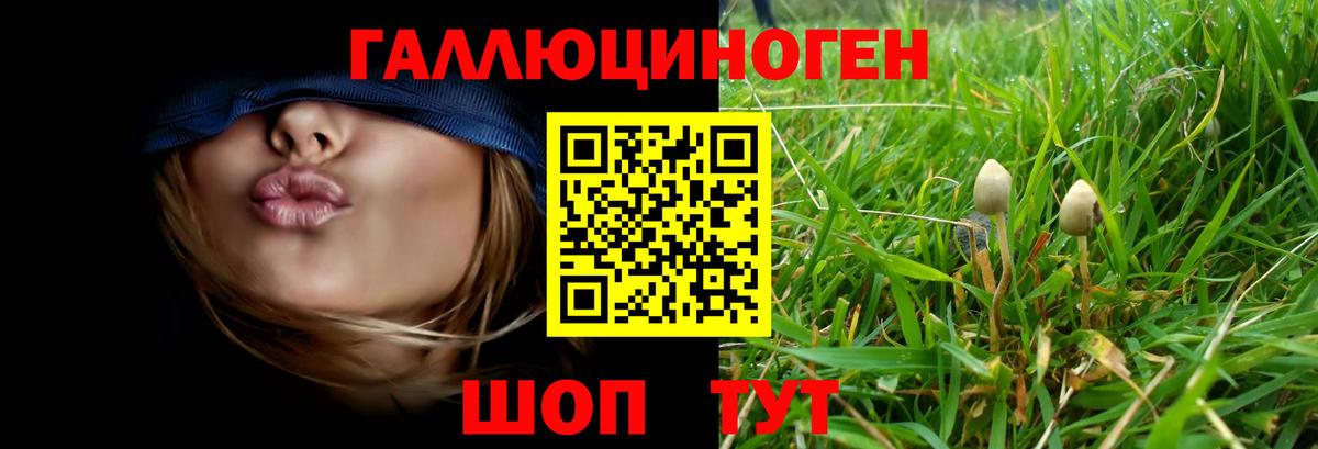 Галлюциногенные грибы Cubensis  Галлюциногенные грибы Psilocybe  Вход с VPN  Белореченск 